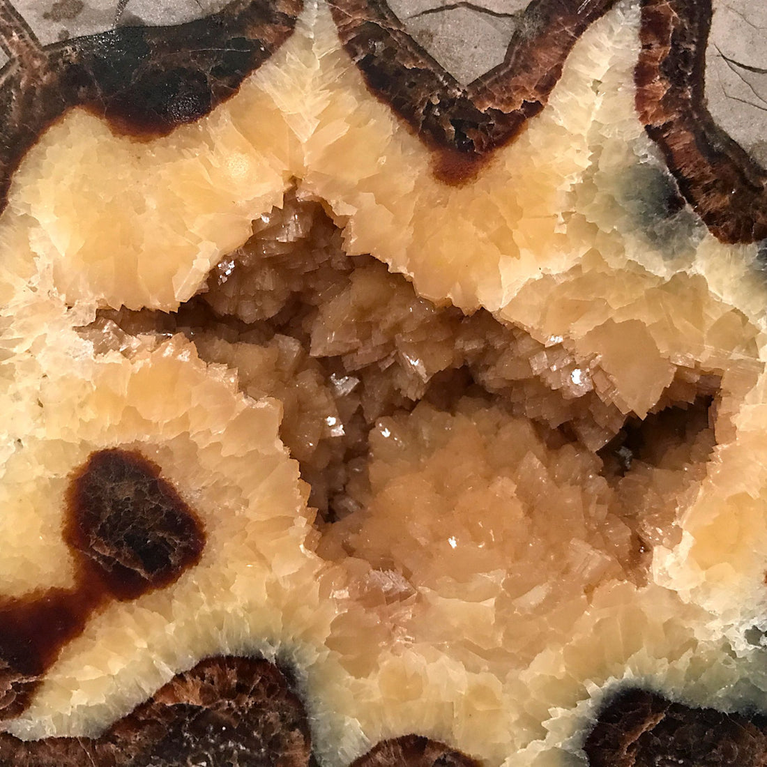 Septarian