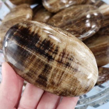 Chocolate Calcite Palm Stone