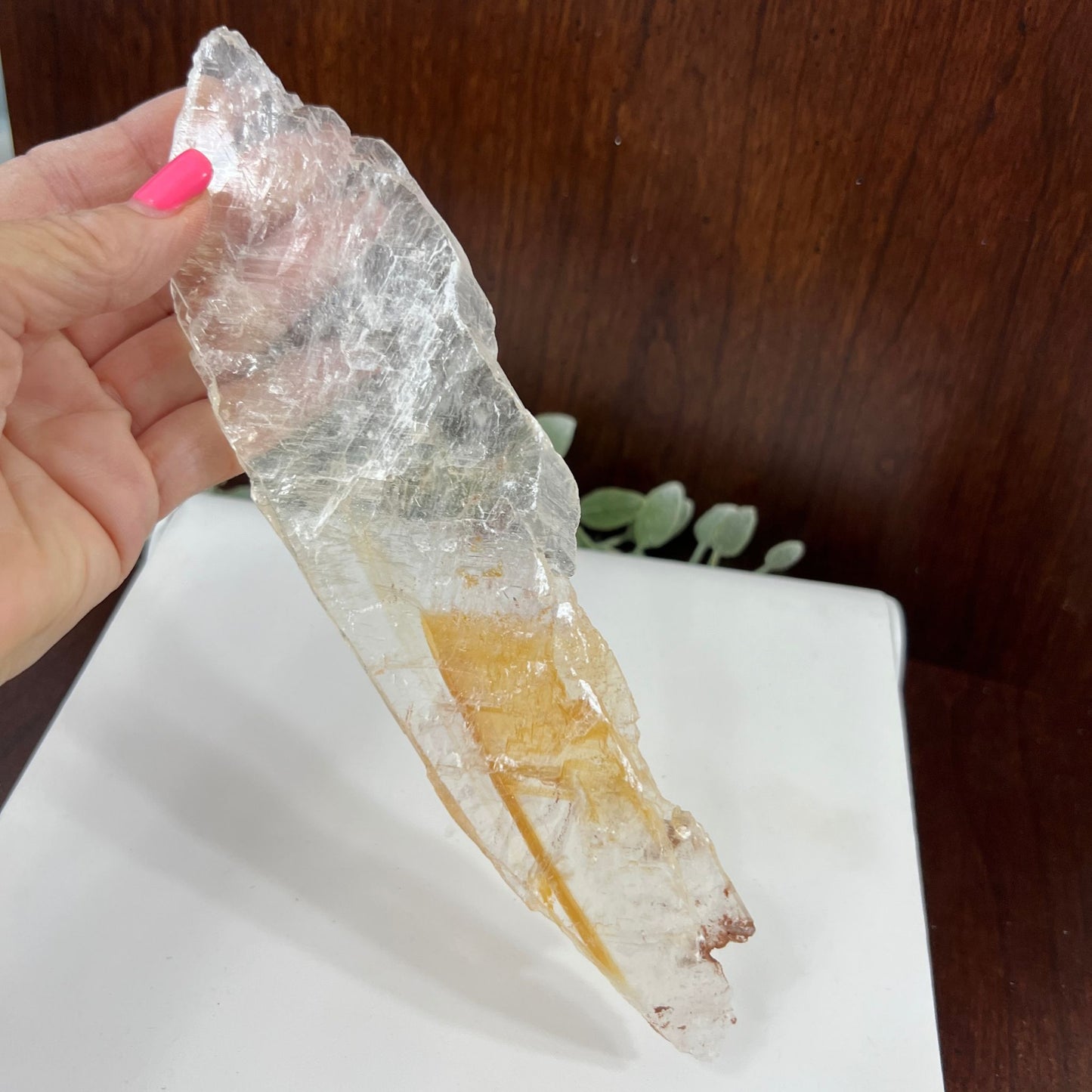 Phantom Golden Healer Selenite – A Natural Crystal of Transformation, Protection, and Inner Light