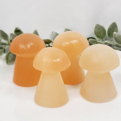 Orange Selenite Mushrooms