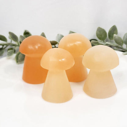 Orange Selenite Mushrooms