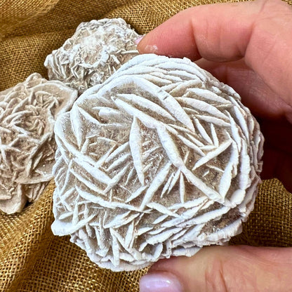 Desert Rose Selenite – The Crystal of Resilience and Spiritual Clarity