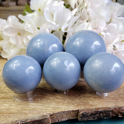 Angelite Spheres