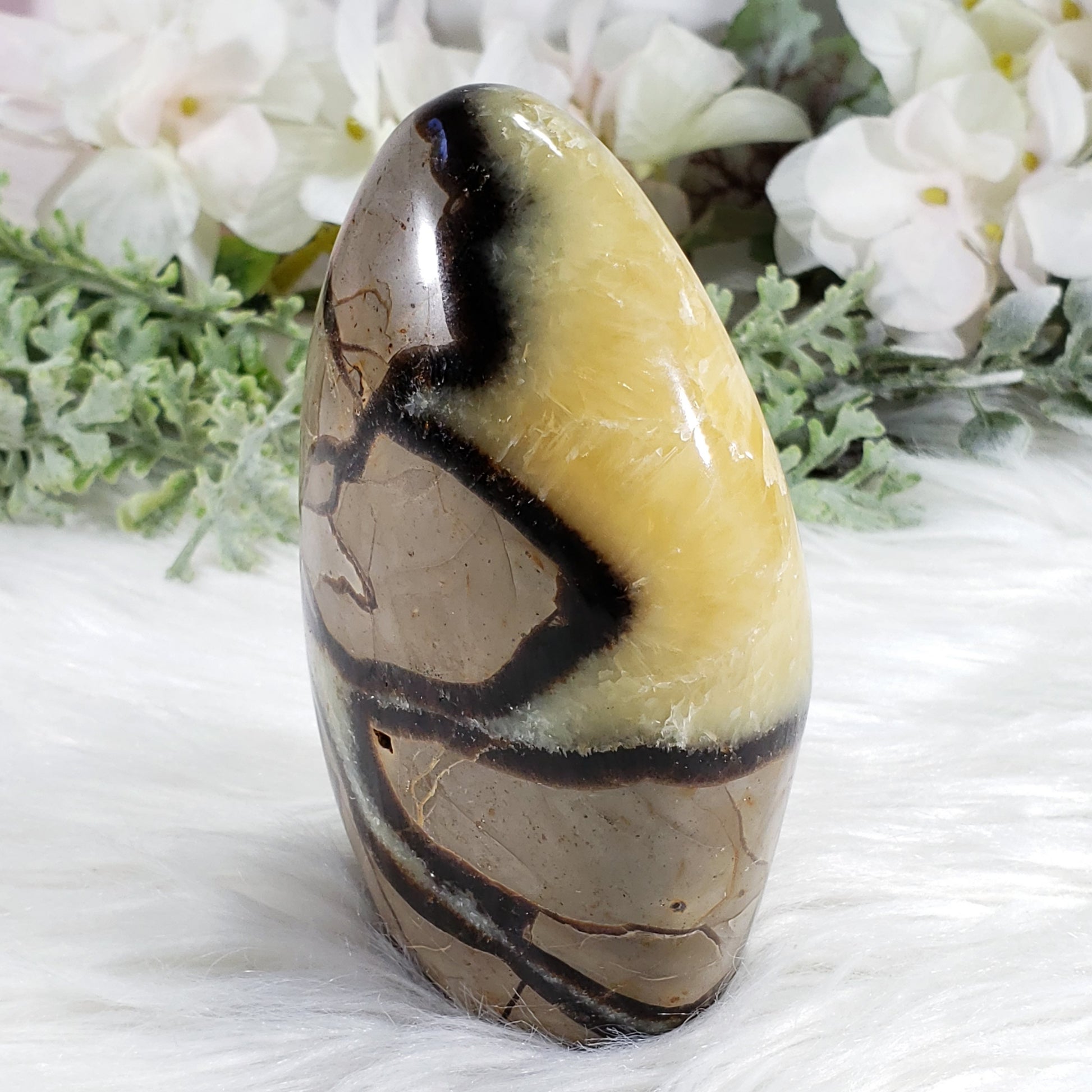 Septarian Freeform Stone - Crystal Happenings