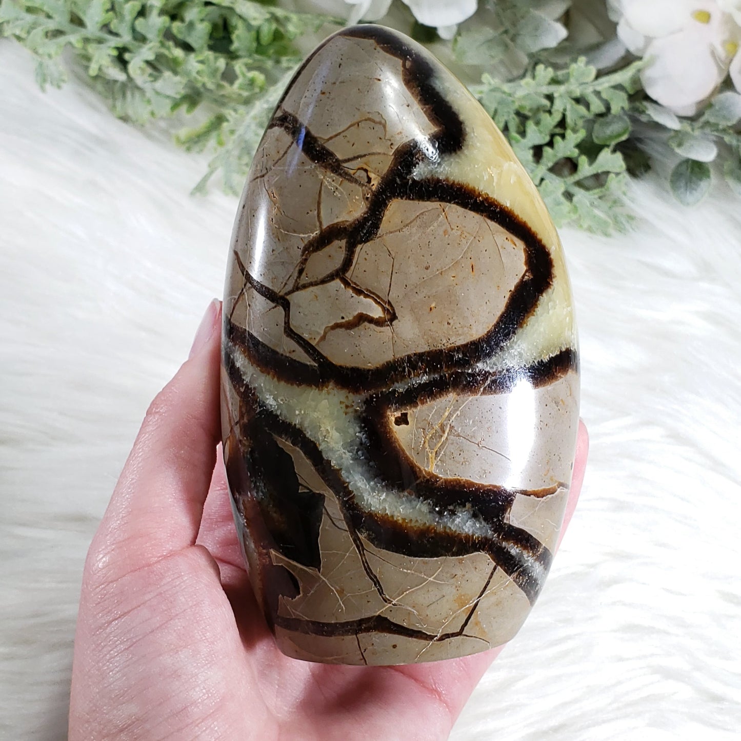 Septarian Freeform Stone - Crystal Happenings