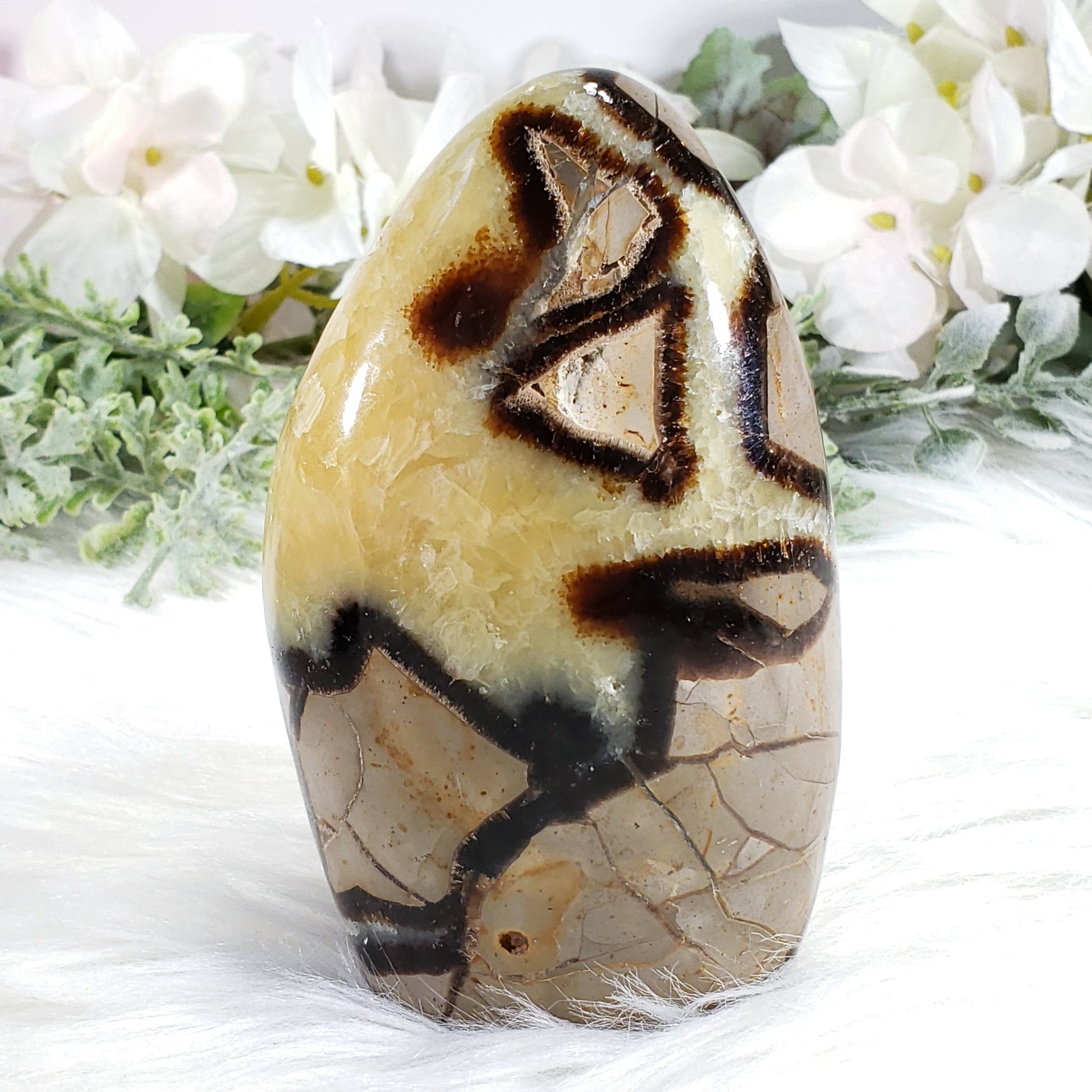 Septarian Freeform Stone - Crystal Happenings