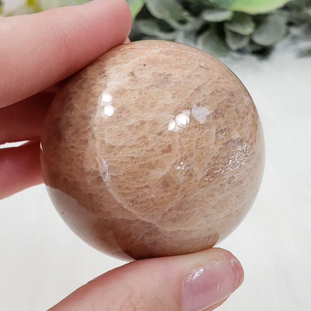 Peach Moonstone 42mm Sphere - Crystal Happenings