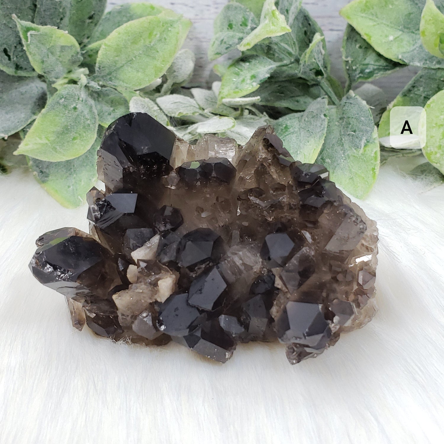 Smoky Quartz Cluster A - Crystal Happenings