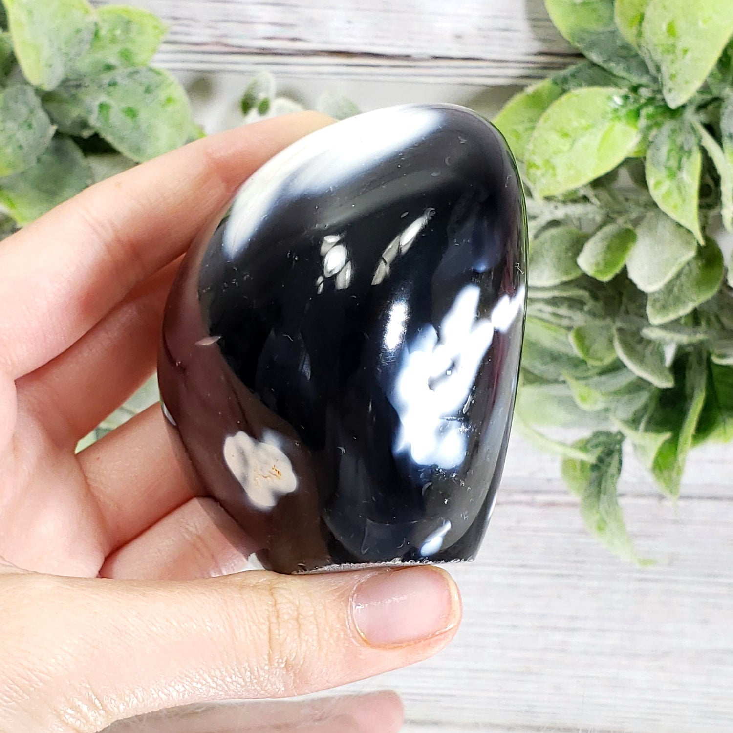 Orca Agate C - Crystal Happenings