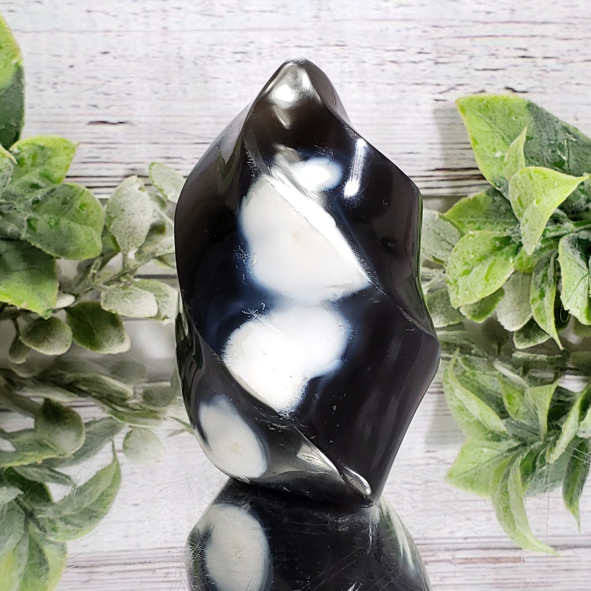 Orca Agate Flame - Crystal Happenings